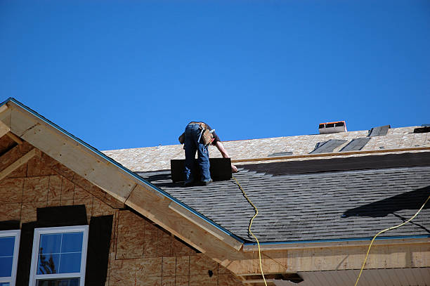 Best Roof Gutter Cleaning  in Randleman, NC